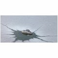 OASE ICEFREE THERMO 200